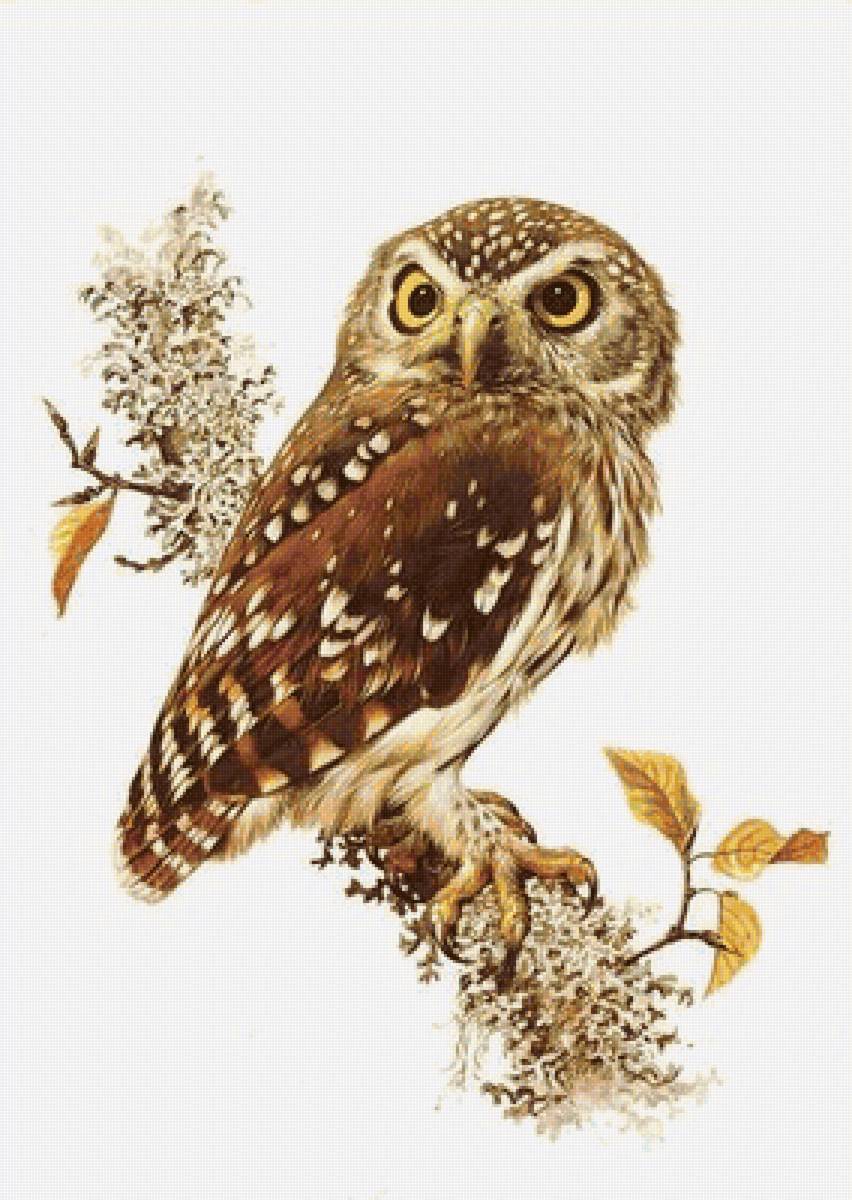 №1972633 - предпросмотр