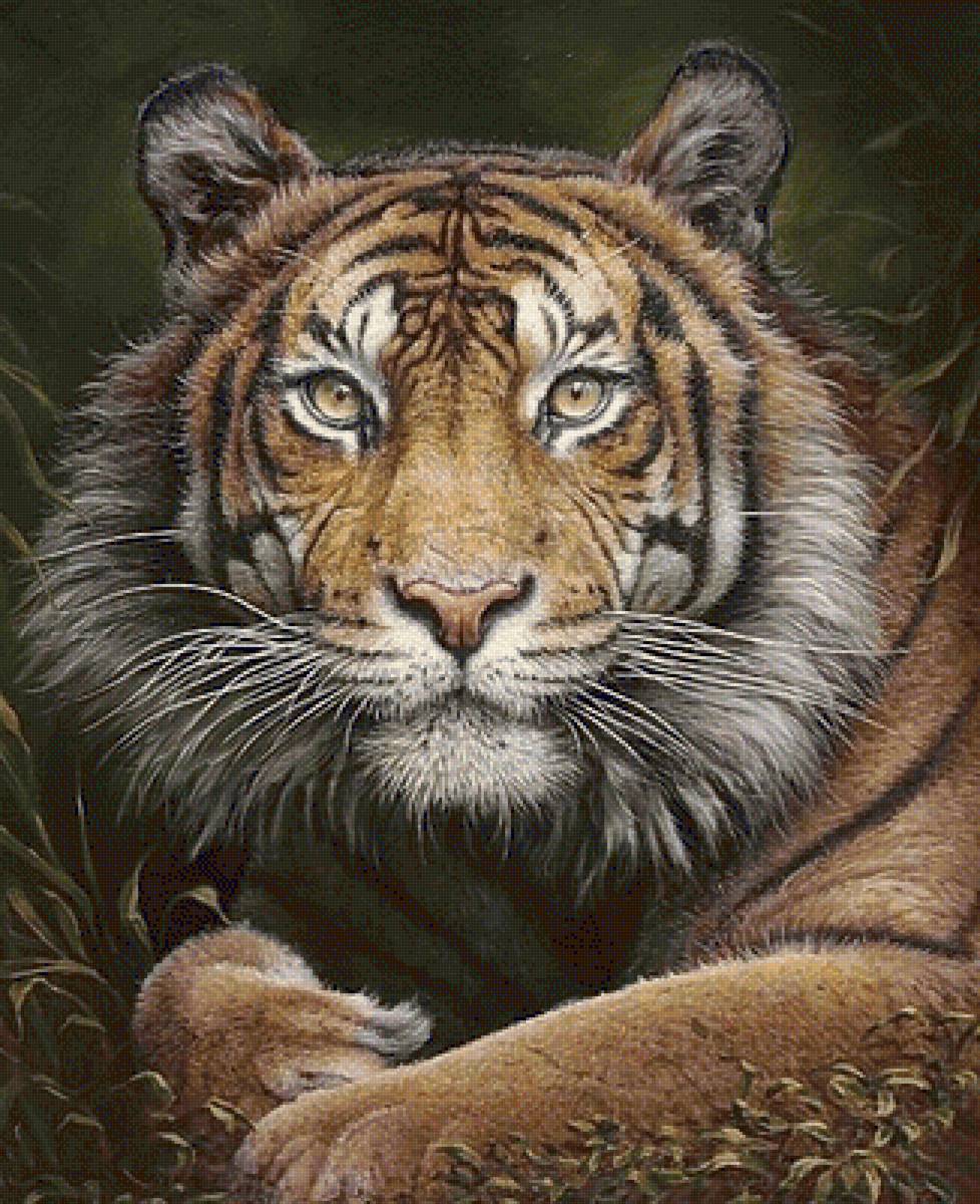 №1972646 - предпросмотр