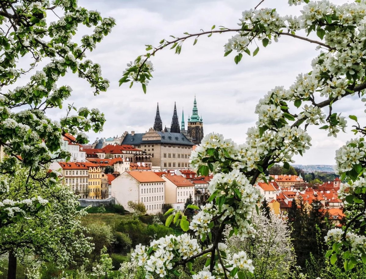 Прага - оригинал