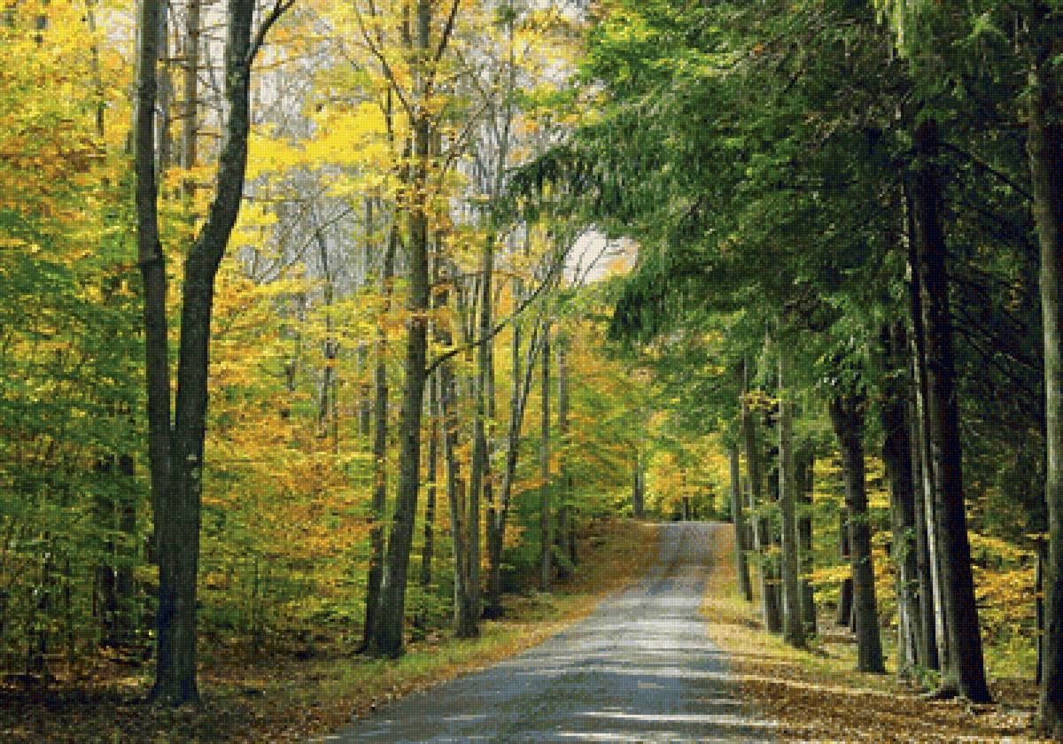лесная дорога - лес, дорога, осень, пейзаж - предпросмотр