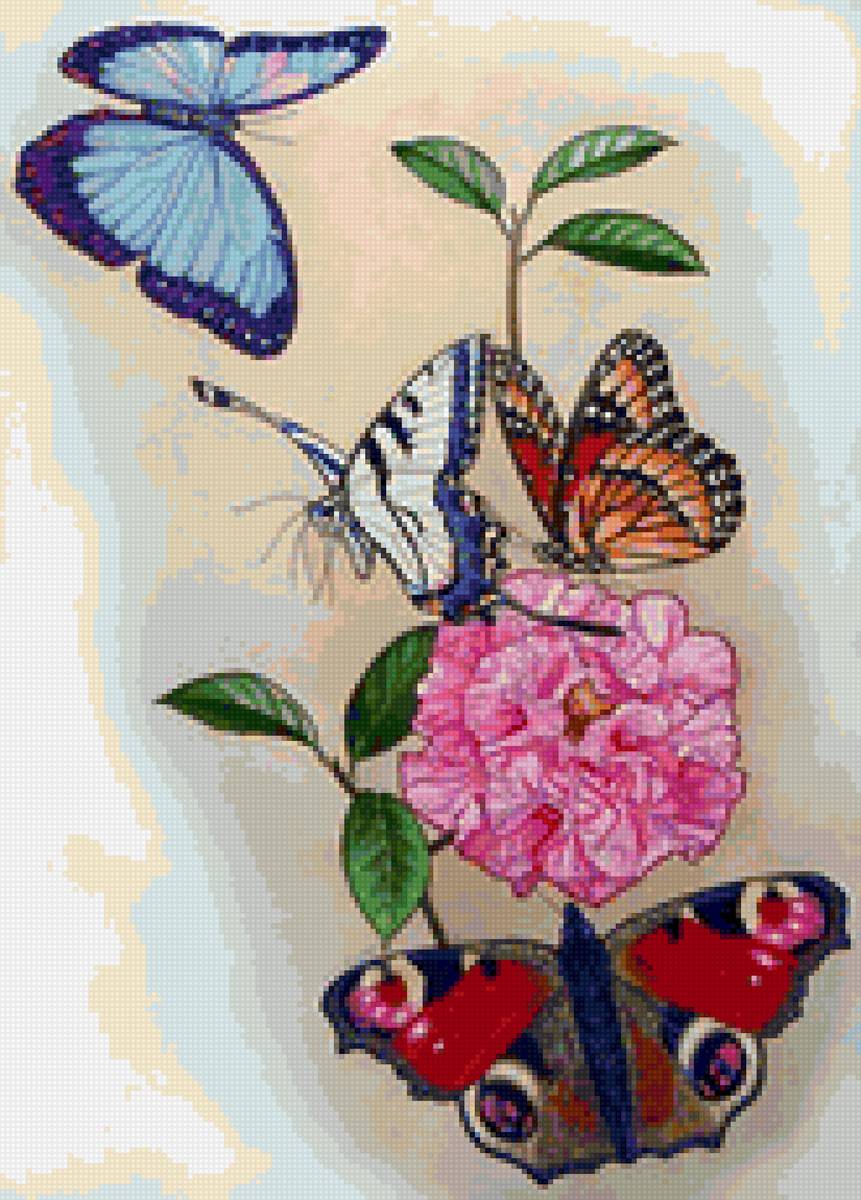 цветы - бабочка - предпросмотр