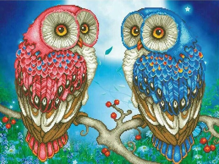 Сова - сова, птицы - оригинал