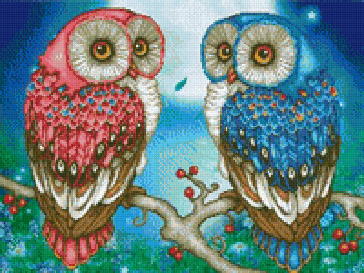 Сова - сова, птицы - предпросмотр