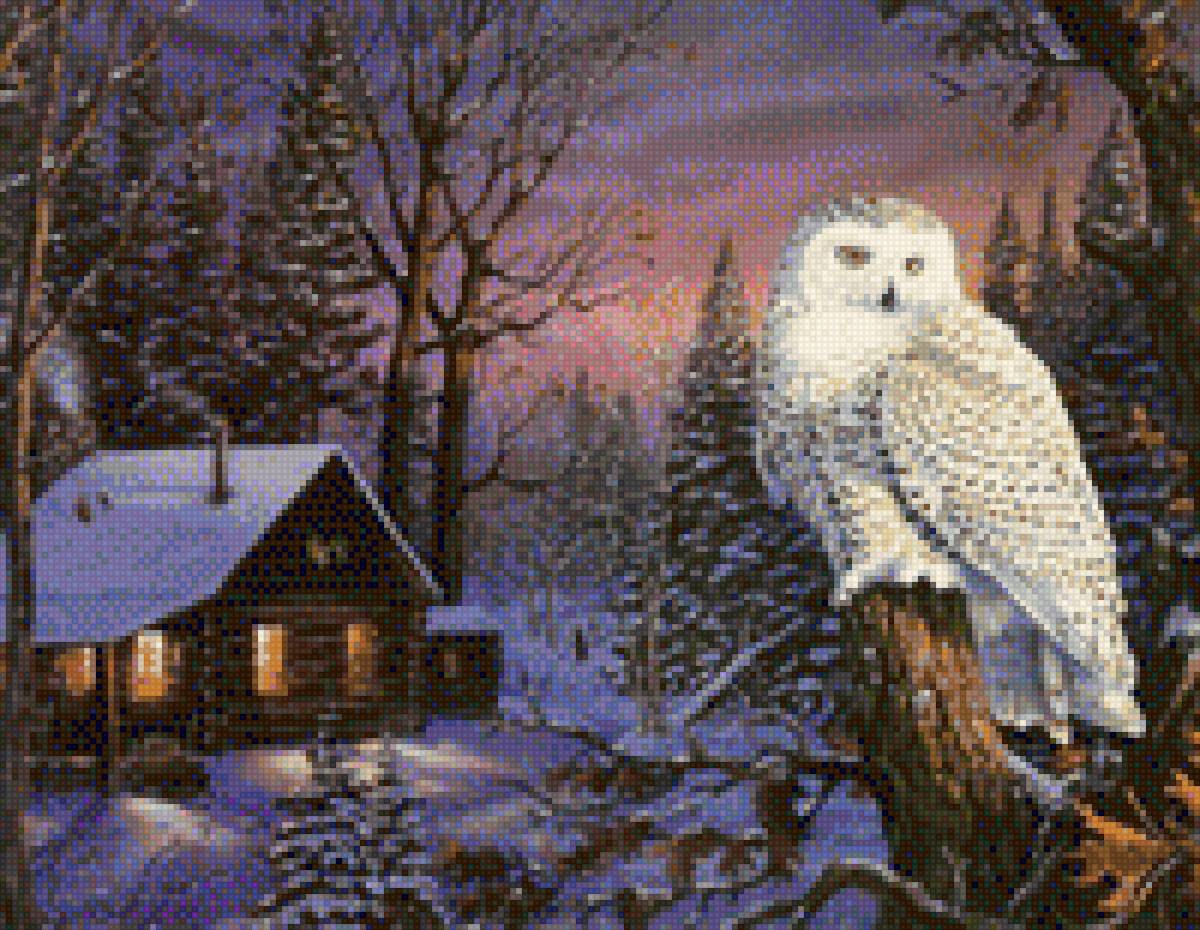 Сова - сова, птицы - предпросмотр