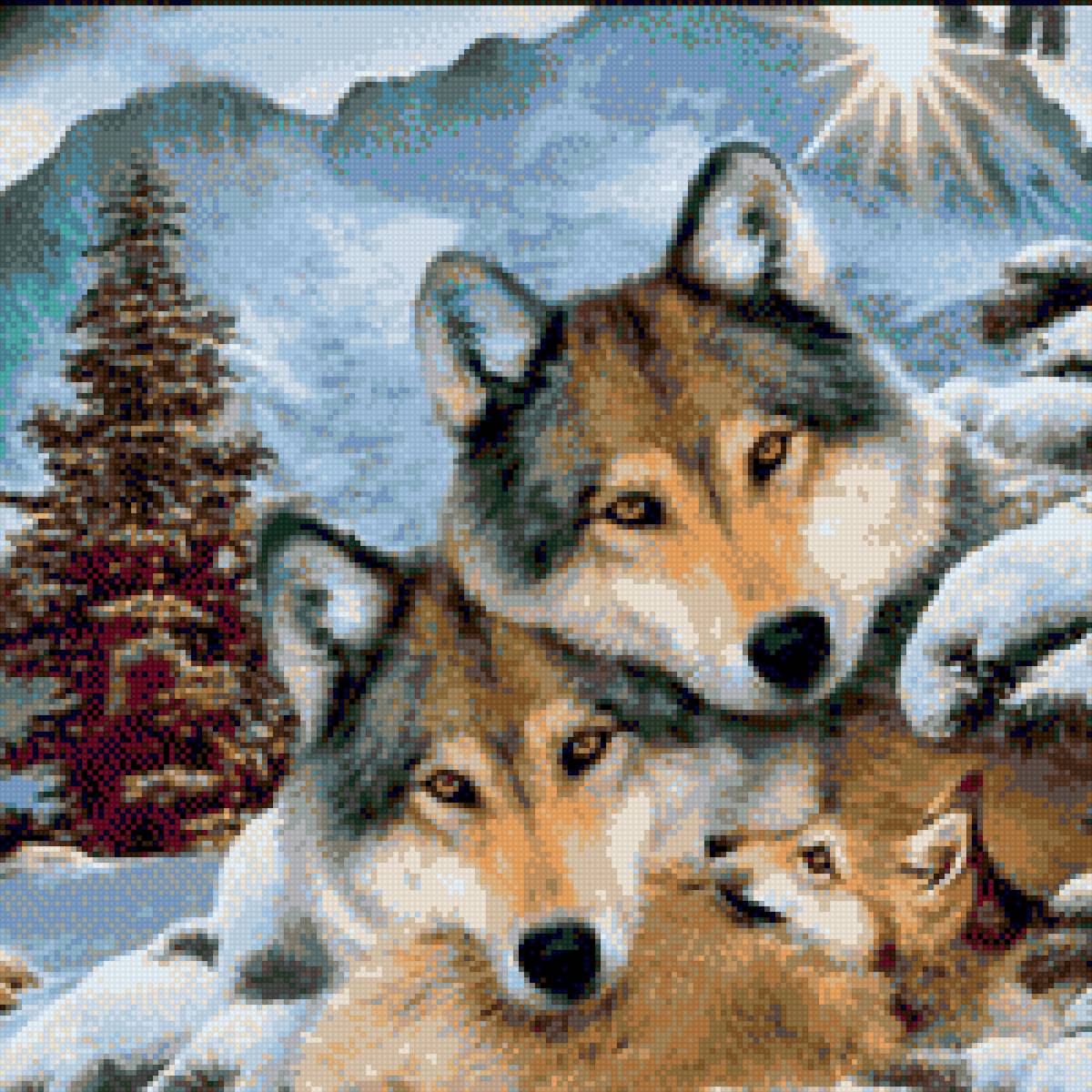 Волки - животные, волк, звери, семья - предпросмотр