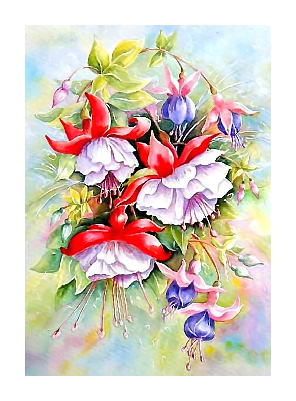 Серия "Фуксия". Акварель - цветы, флора, фуксия - оригинал