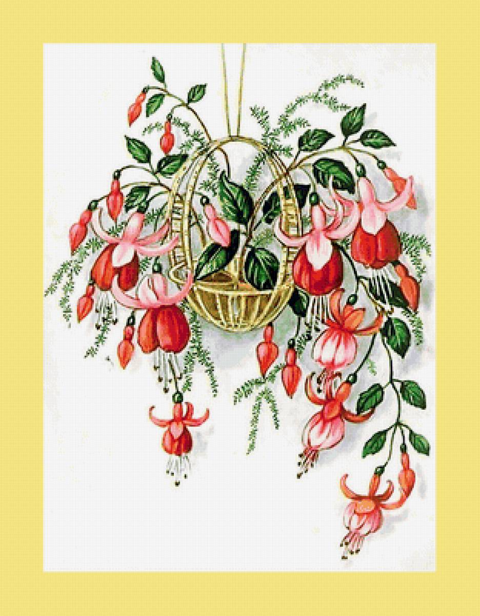 Серия "Фуксия" - фуксия, цветы, флора - предпросмотр