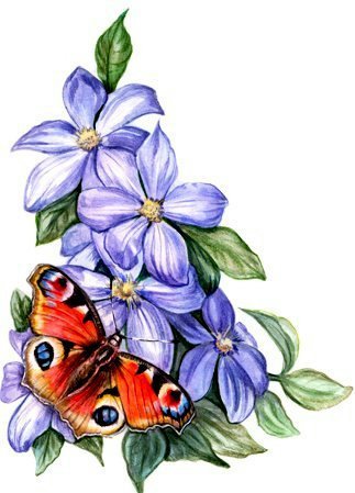 цветы - бабочка - оригинал
