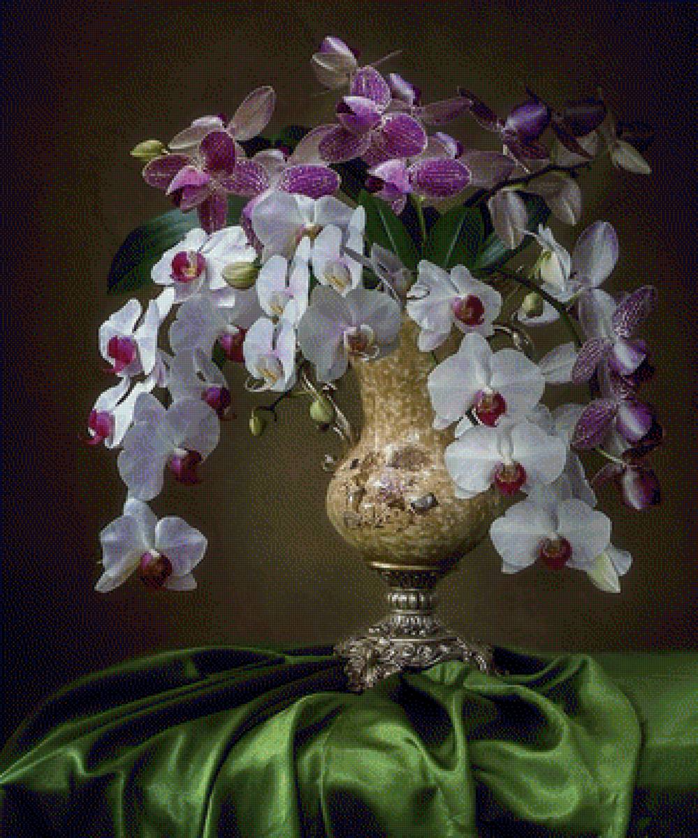 ОРХИДЕЯ - натюрморт с цветами, орхидея - предпросмотр