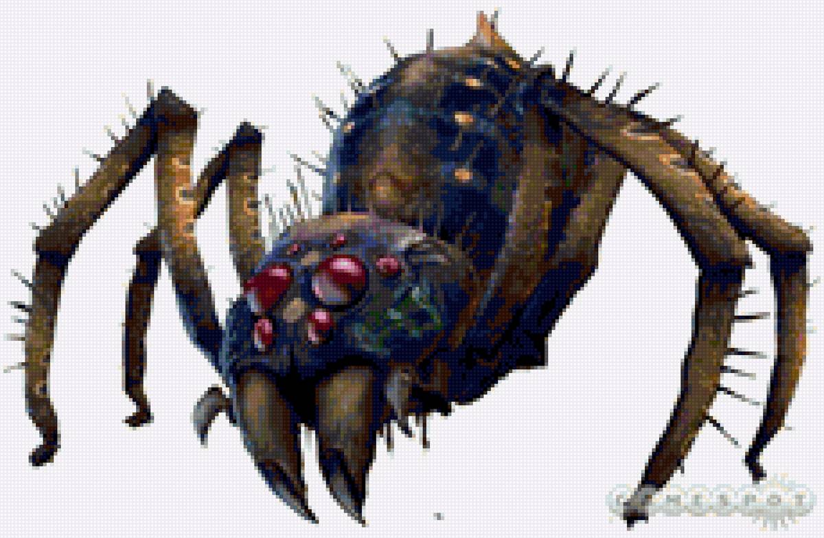 паук - паук - предпросмотр