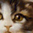 Предпросмотр схемы вышивки «Three kittens.» (№1973451)
