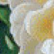 Предпросмотр схемы вышивки «Tulips.» (№1973471)