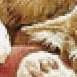 Предпросмотр схемы вышивки «Рыжики и яблоки.» (№1973483)