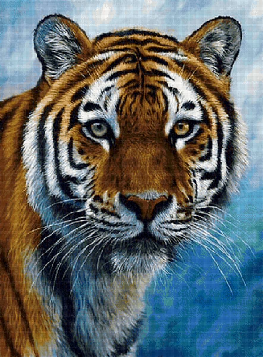 дикие - предпросмотр