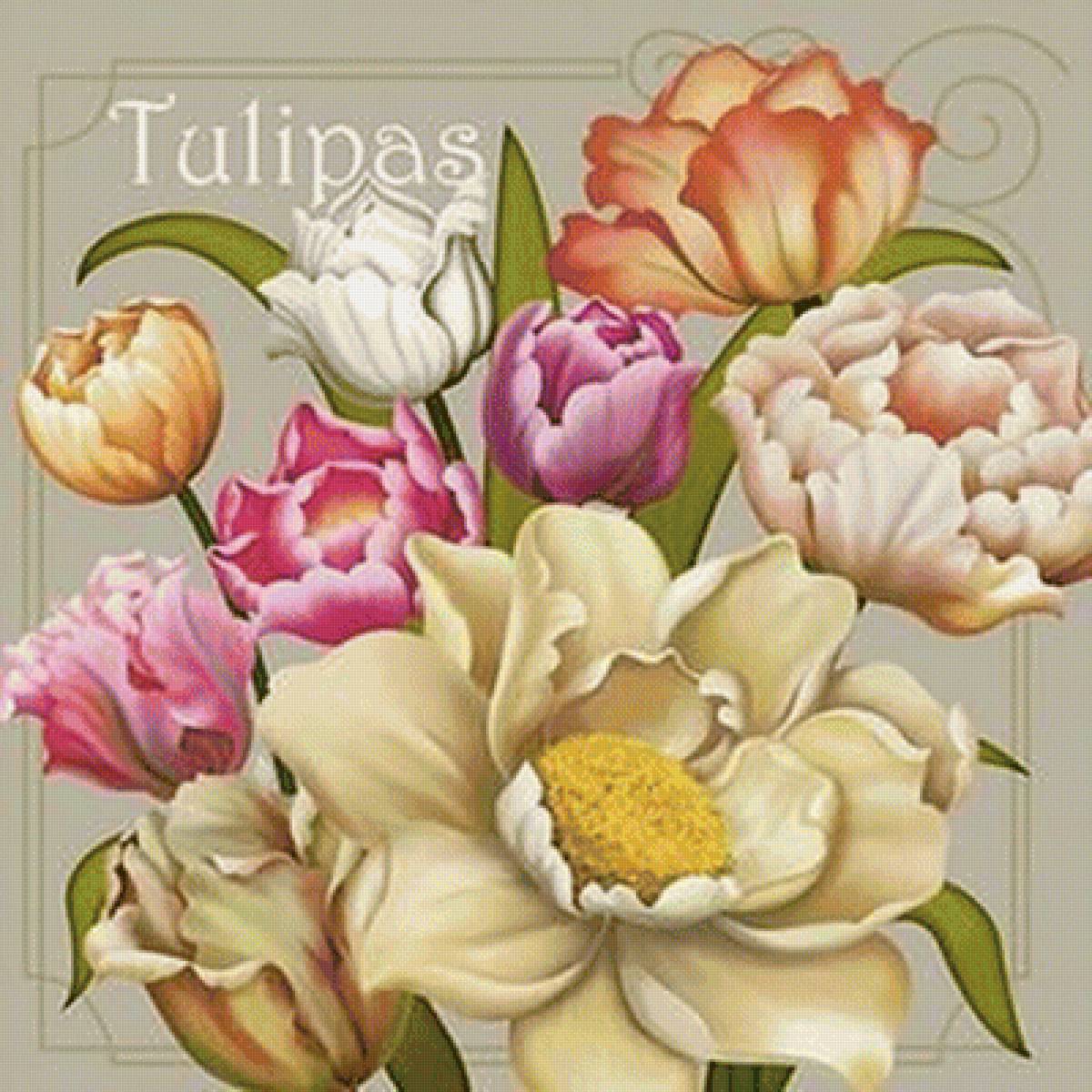 tulipány - предпросмотр