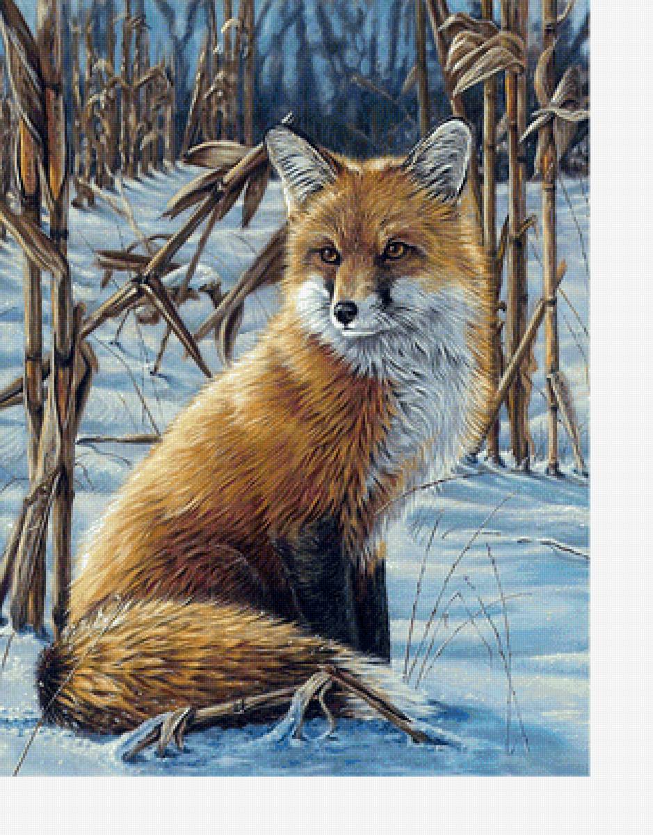 Лиса - звери, животные - предпросмотр