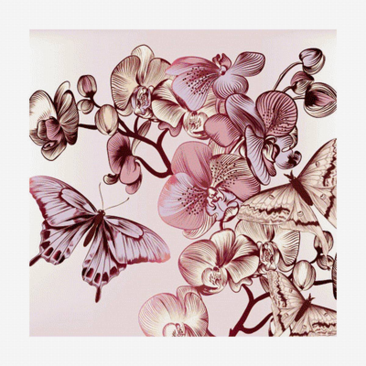 Серия "Бабочки". - цветы, бабочки, орхидеи, насекомые - предпросмотр
