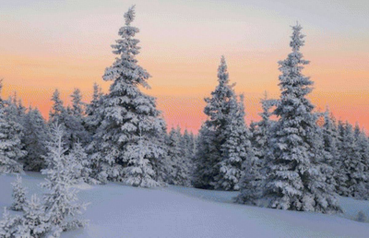 зимний пейзаж - пейзаж, елки, закат, зима - предпросмотр