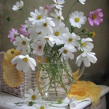 Схема вышивки «№1974555»