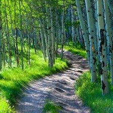 Схема вышивки «№1974577»