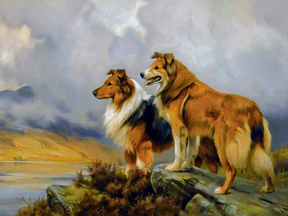 Two Collies Above a Lake. - wright barker.landscapes.animals. - предпросмотр