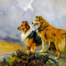 Two Collies Above a Lake.