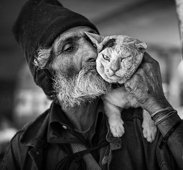 Последние ангелы на Земле - старик, кот, животное, мудрость, мужчина с котом - оригинал