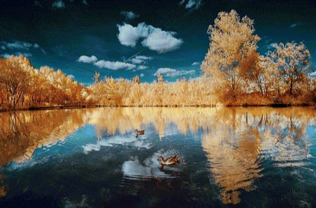 Осень в воде - озеро с утками, пейзаж, осень - предпросмотр