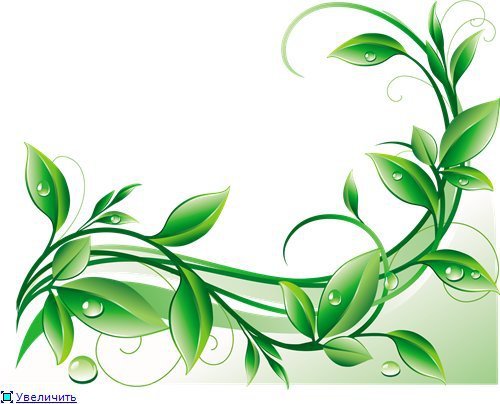 цветы - рамка - оригинал