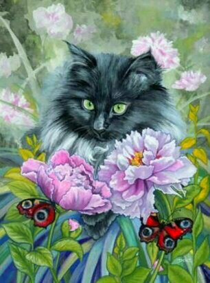 Кот в цветах - кот пионы бабочки - оригинал