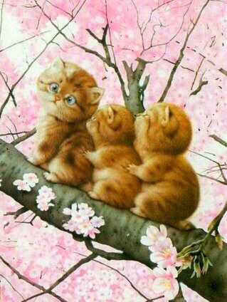 Котята на дереве - котята дерево цветы - оригинал