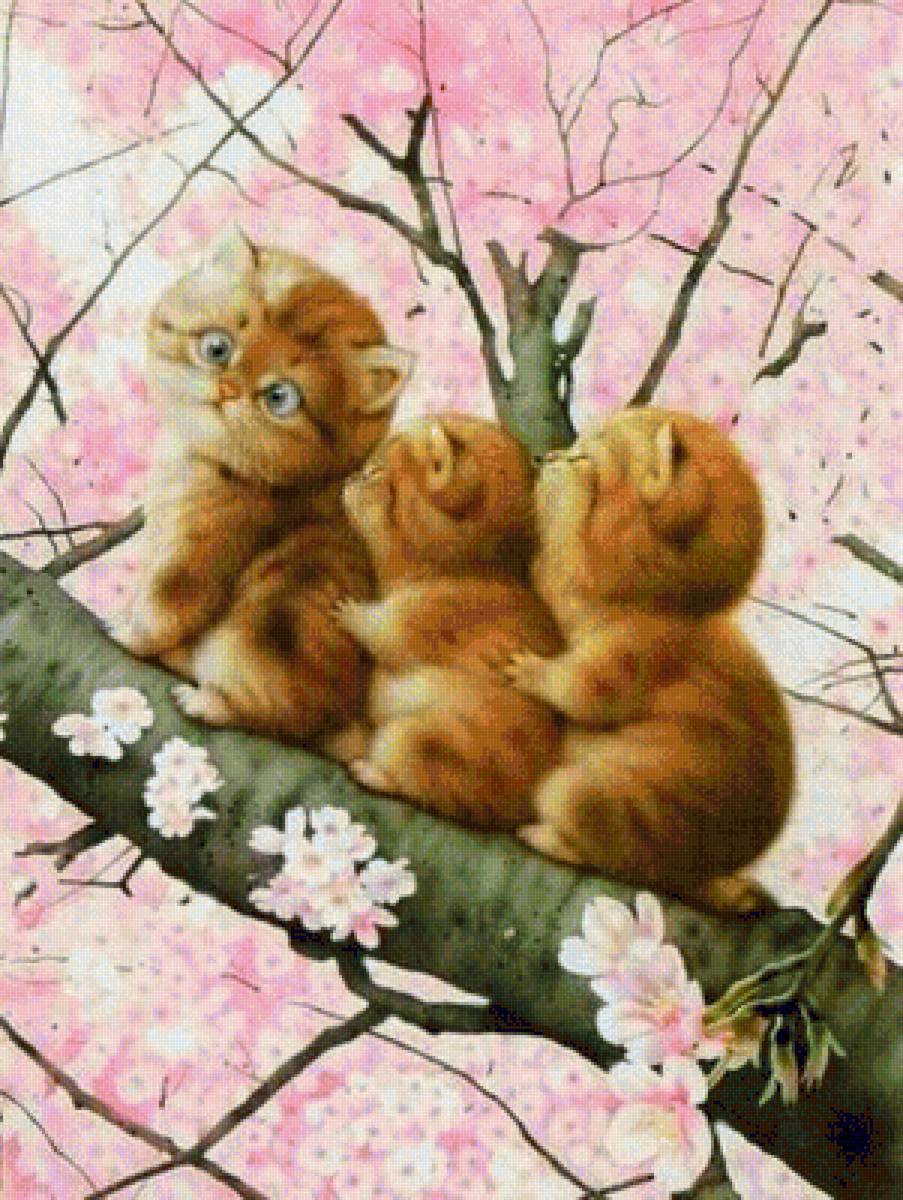 Котята на дереве - котята дерево цветы - предпросмотр