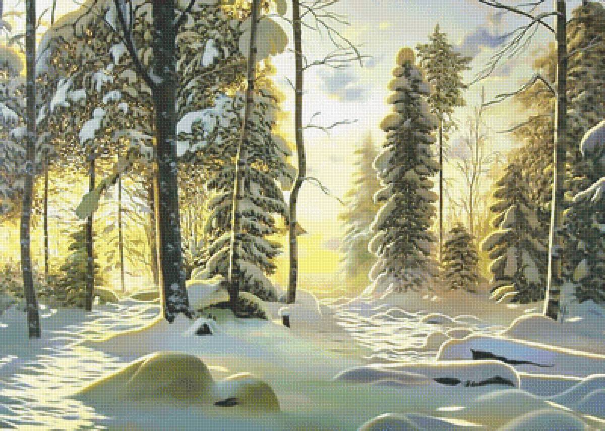 Красота зимнего леса. - зима, закат, снег, лес, солнце, восход, пейзаж - предпросмотр