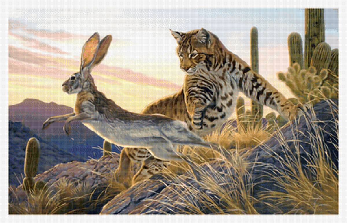 Погоня за зайцем. - хищник, погоня, заяц, охота - предпросмотр