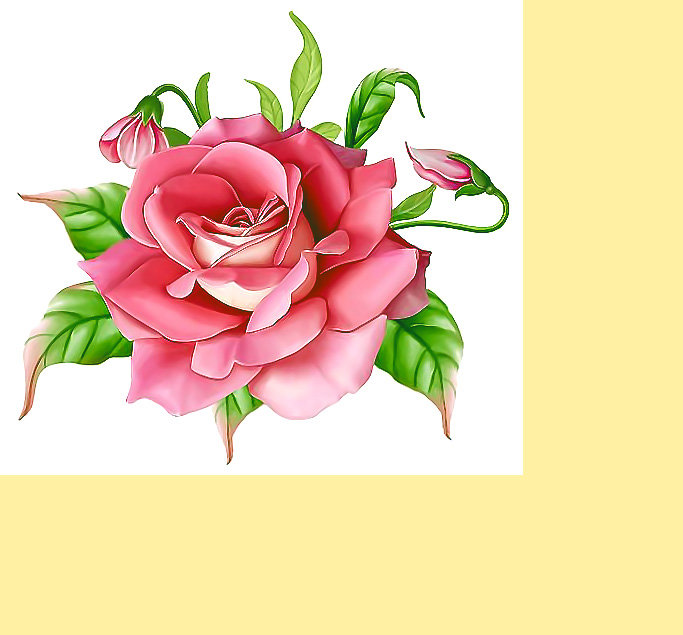 Серия "Розы". - флора, розы, цветы - оригинал