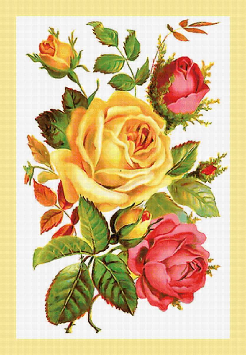 Серия "Розы". - винтаж, цветы, розы, флора - предпросмотр