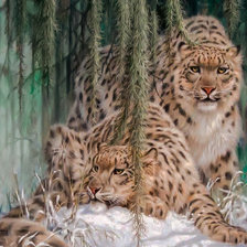 Схема вышивки «Stunning Snow Leopard Pair-2.»