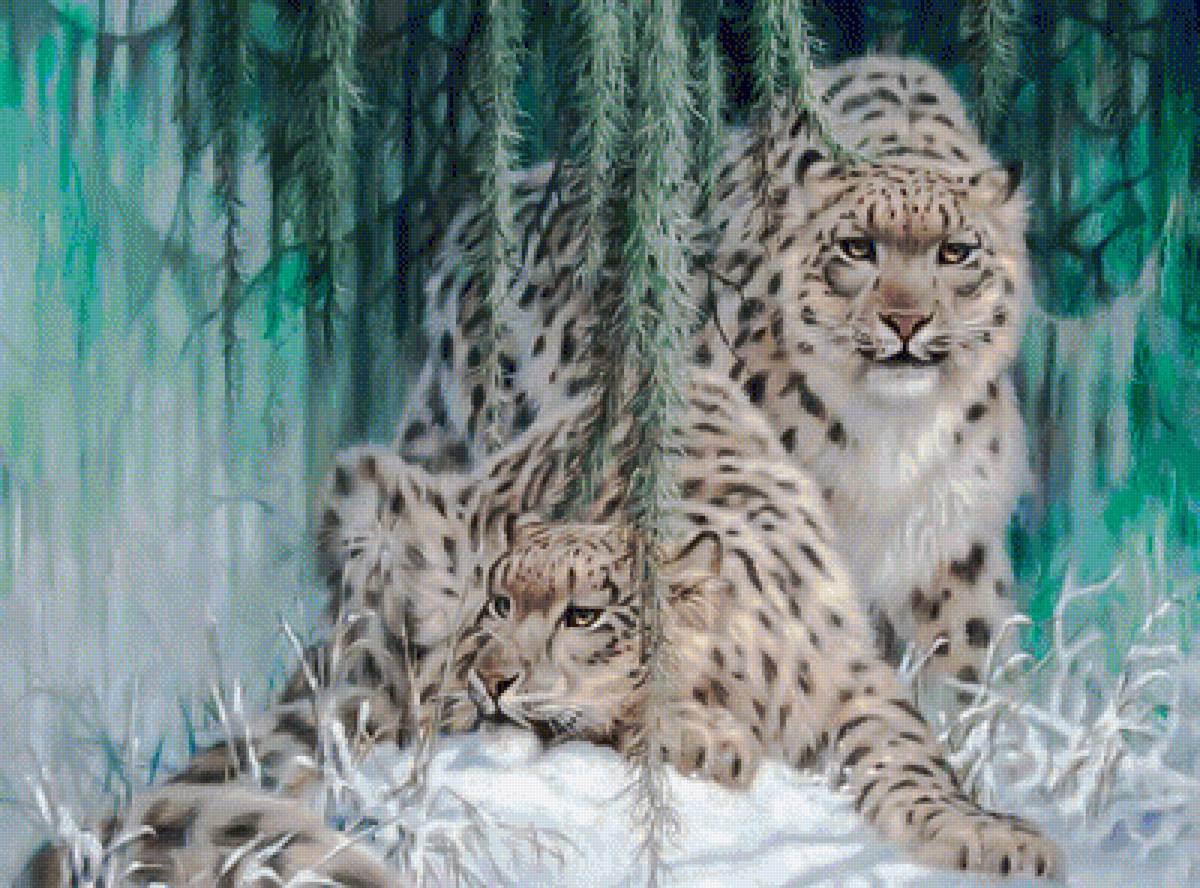 Stunning Snow Leopard Pair-1. - animals. - предпросмотр