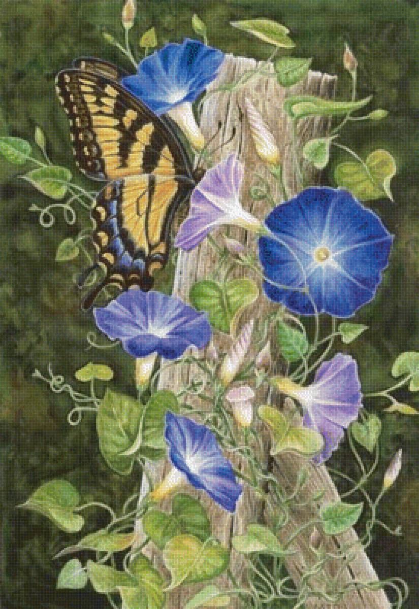motýl,kvety - предпросмотр