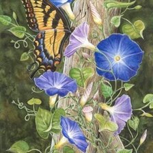 Схема вышивки «motýl,kvety»