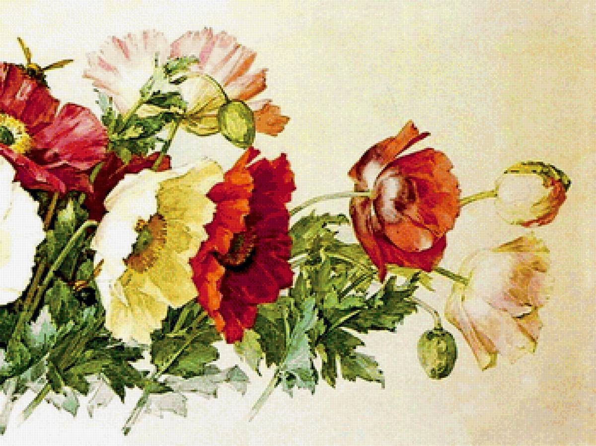 Маки 2 часть - предпросмотр