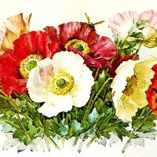 Схема вышивки «Маки»