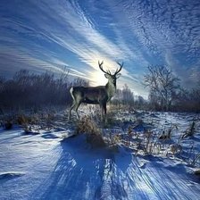 Схема вышивки «Олень»