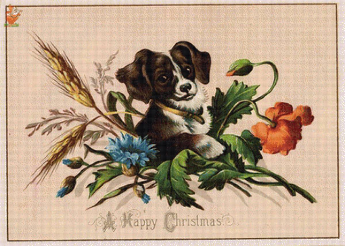 psík,kvety - предпросмотр