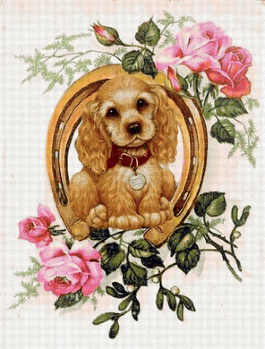 psík,podkova,ruže - предпросмотр