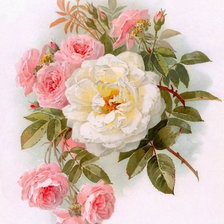 Оригинал схемы вышивки «Розы» (№1977403)