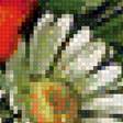 Предпросмотр схемы вышивки «Полевые цветы» (№1977415)