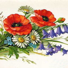Оригинал схемы вышивки «Полевые цветы» (№1977415)