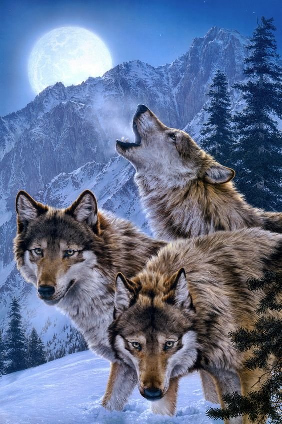 дикие - оригинал