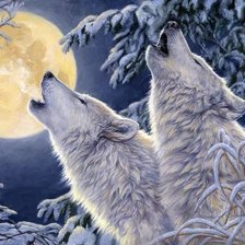 Схема вышивки «дикие»